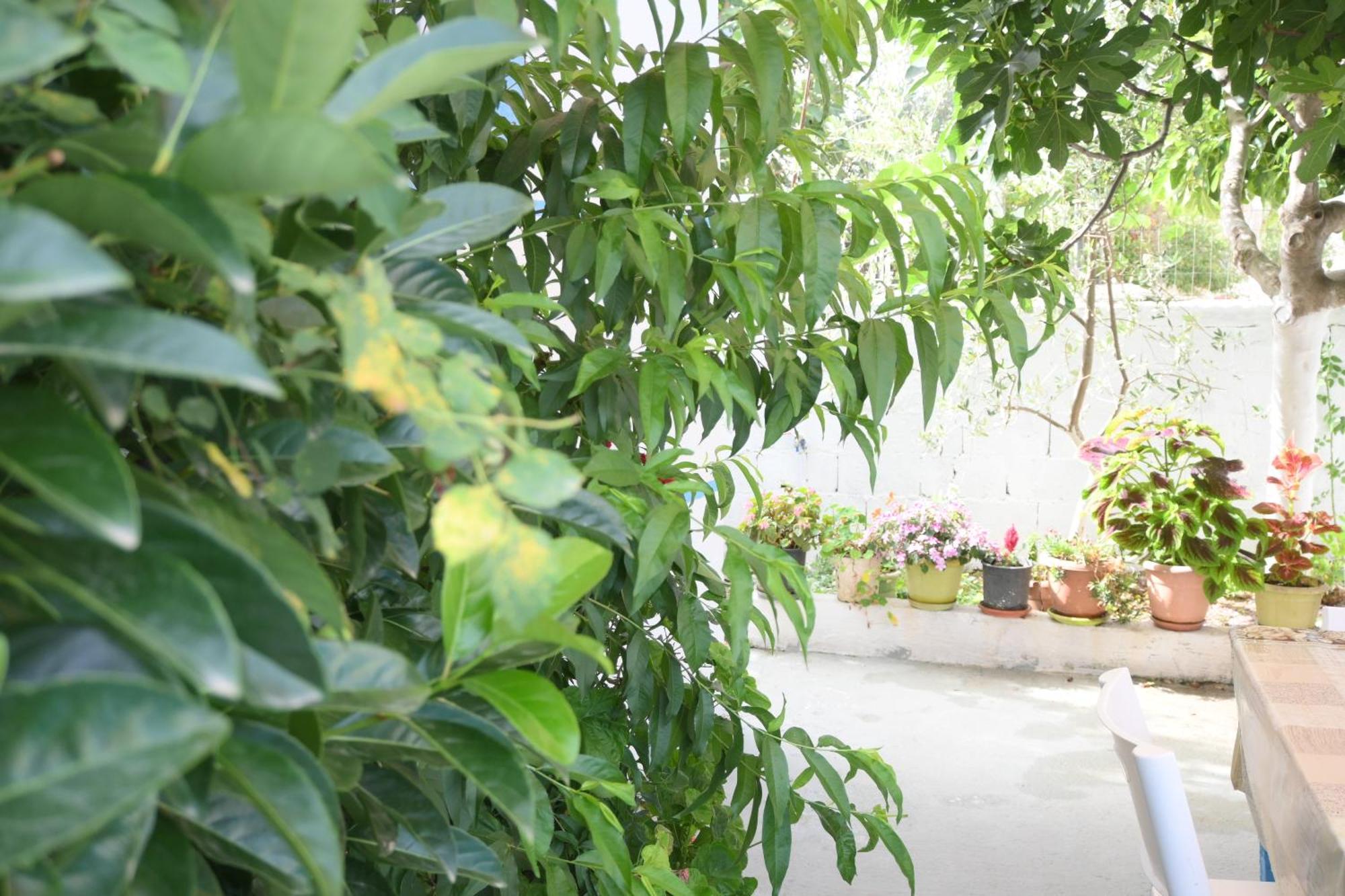 Apartament Luani クサミル 部屋 写真